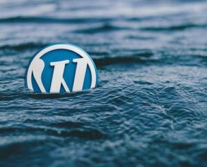 wordpress logo art - wordpress logo in water